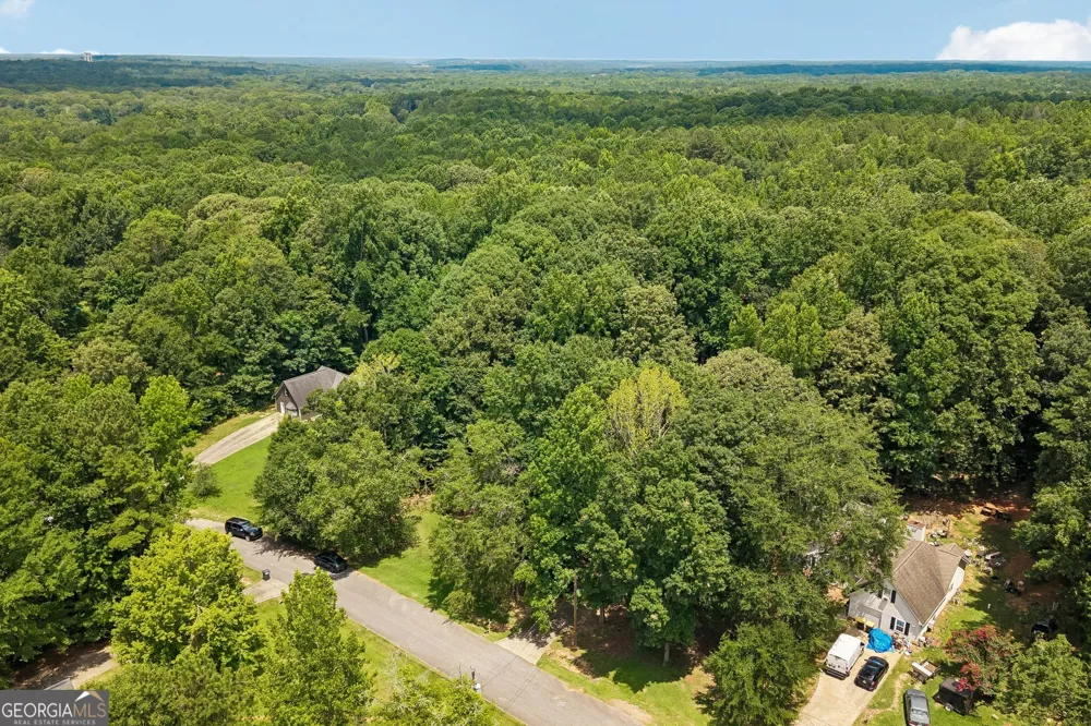 185 Starrs Mill DR Senoia, GA 30276