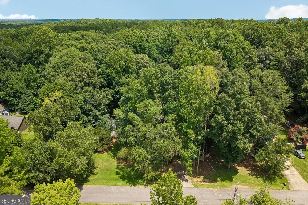 185 Starrs Mill DR Senoia, GA 30276