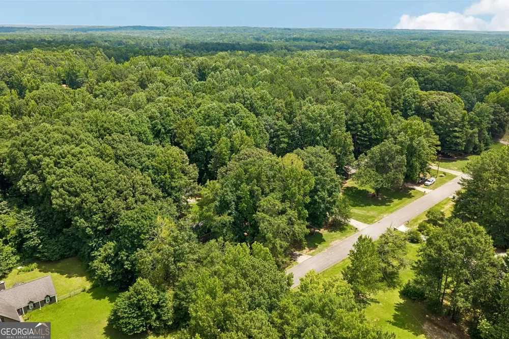 185 Starrs Mill DR Senoia, GA 30276
