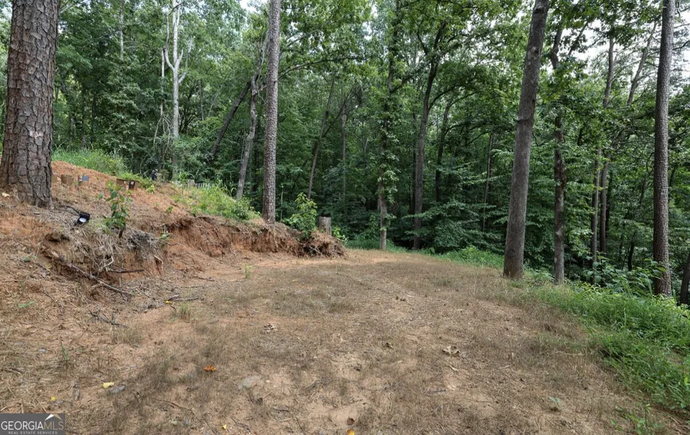 0 Cardinal LN Toccoa, GA 30577