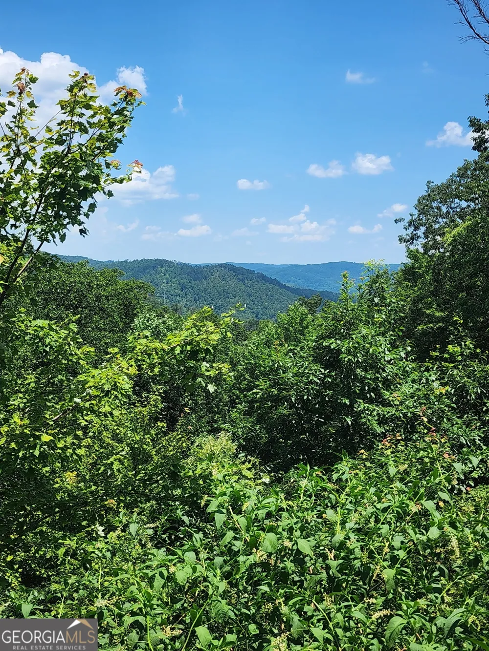 568 Yonah Lake RD Toccoa, GA 30577