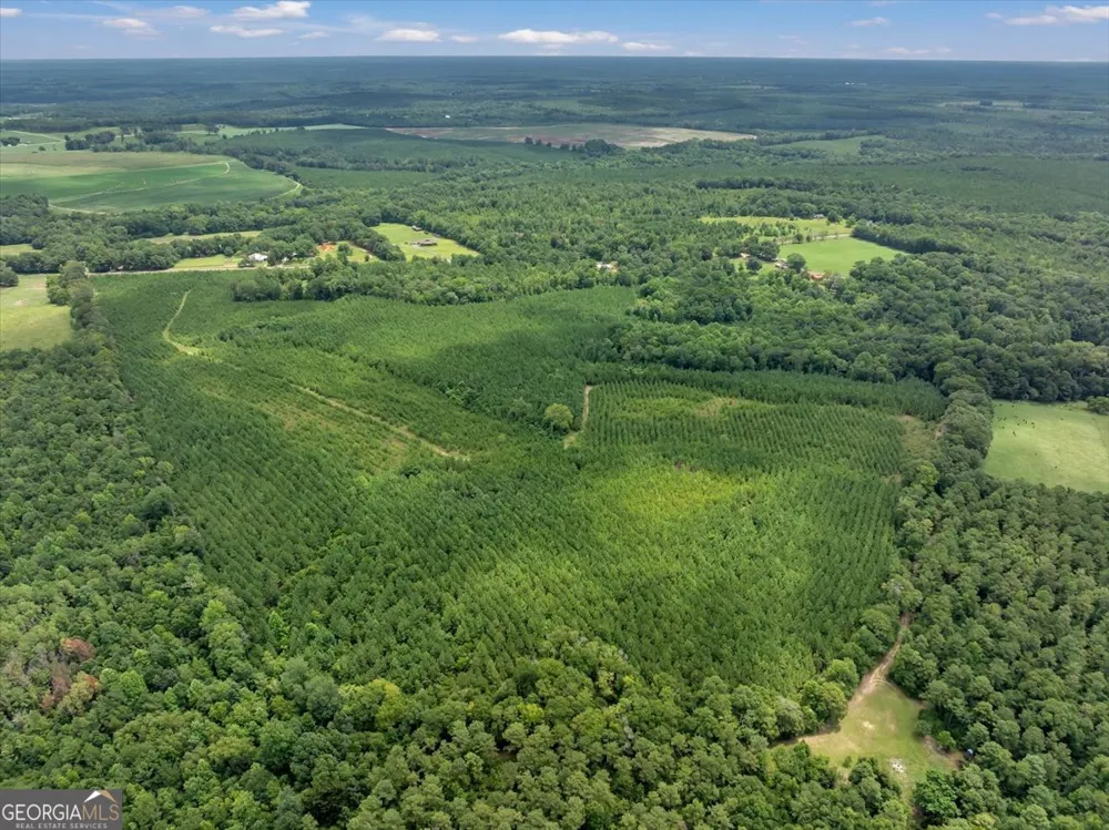 TURKEY POINT Turkey Creek RD Danville, GA 31017