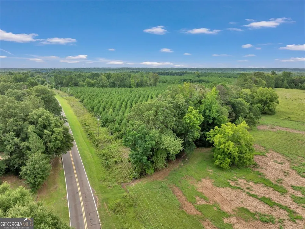 TURKEY POINT Turkey Creek RD Danville, GA 31017