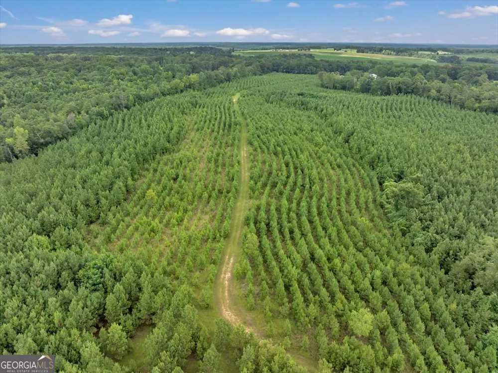 TURKEY POINT Turkey Creek RD Danville, GA 31017