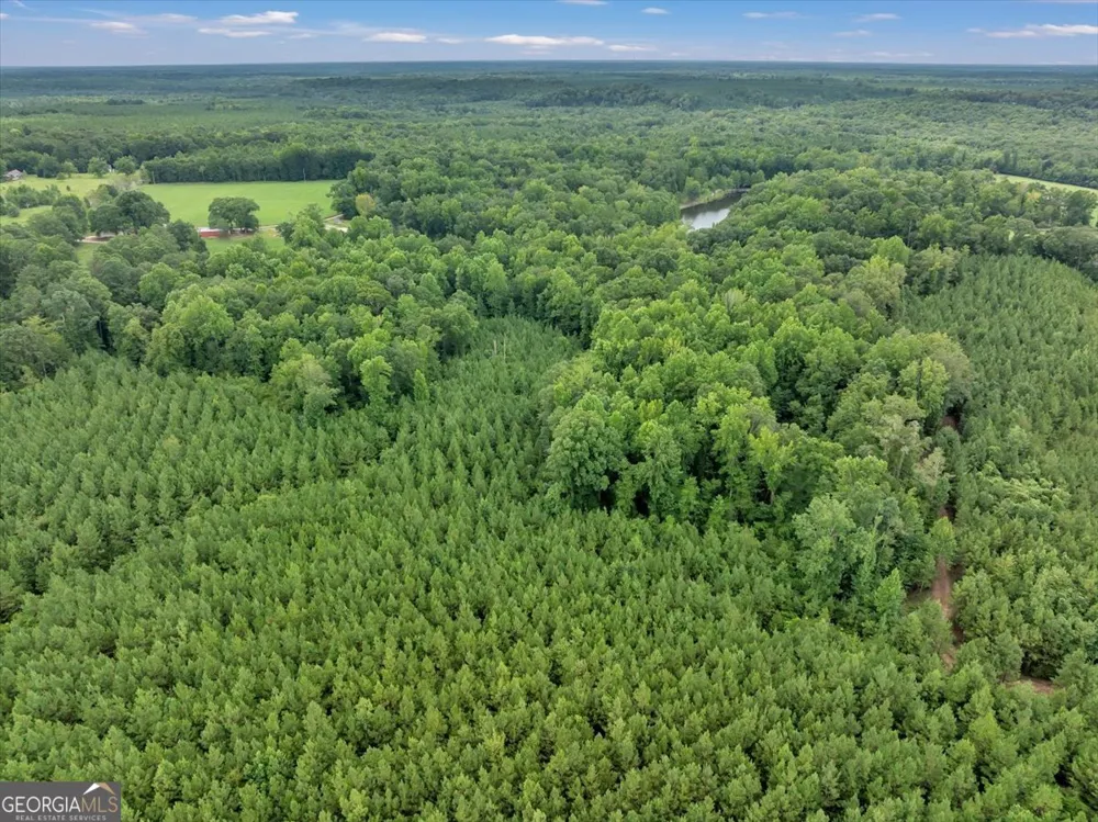 TURKEY POINT Turkey Creek RD Danville, GA 31017