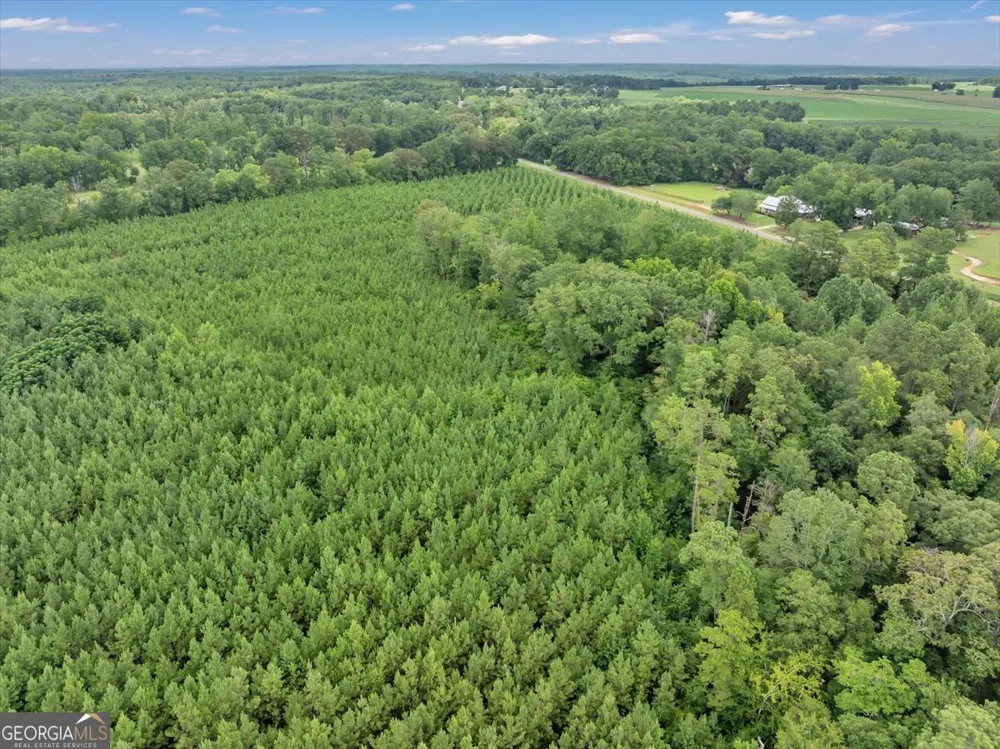 TURKEY POINT Turkey Creek RD Danville, GA 31017