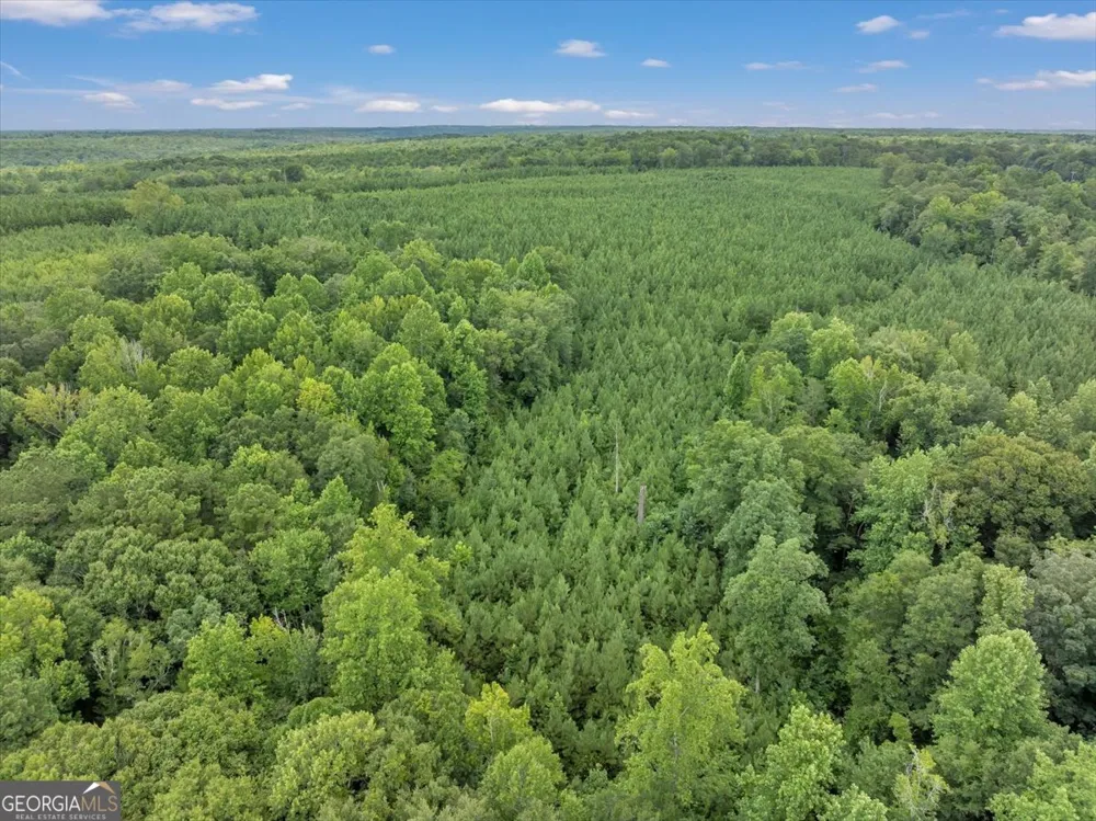 TURKEY POINT Turkey Creek RD Danville, GA 31017