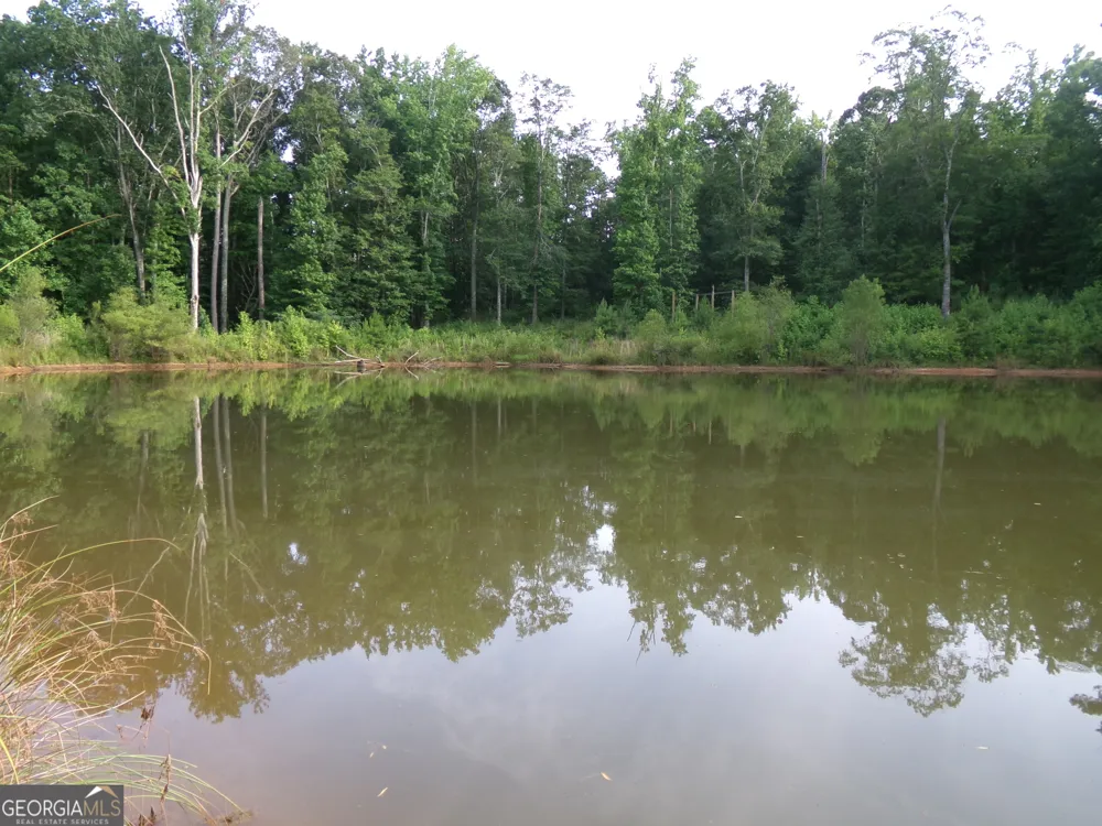 35 ACRES Youth Jersey RD Covington, GA 30014