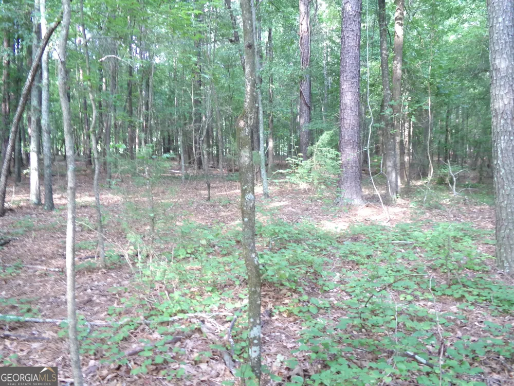 35 ACRES Youth Jersey RD Covington, GA 30014