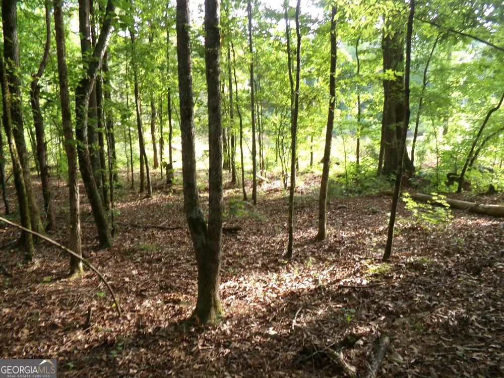 35 ACRES Youth Jersey RD Covington, GA 30014