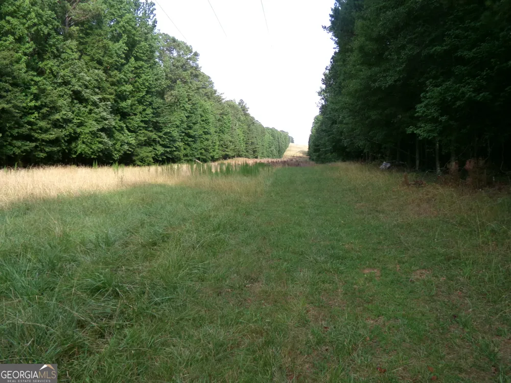 35 ACRES Youth Jersey RD Covington, GA 30014