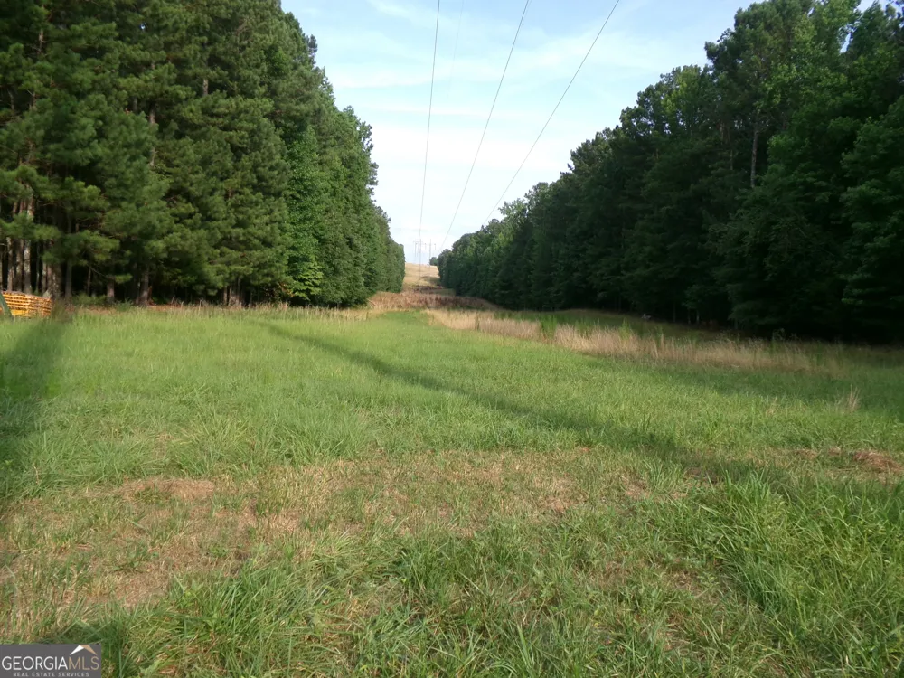 35 ACRES Youth Jersey RD Covington, GA 30014
