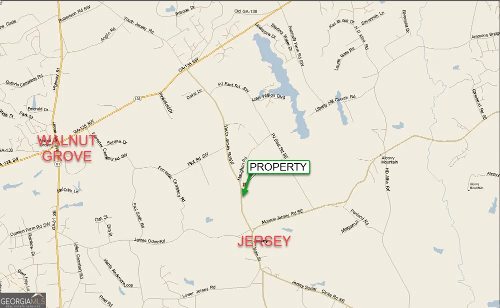 35 ACRES Youth Jersey RD Covington, GA 30014