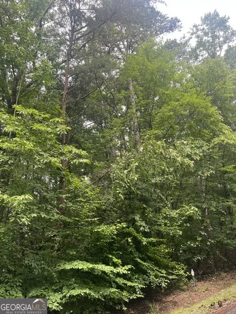 137 Tulip LN