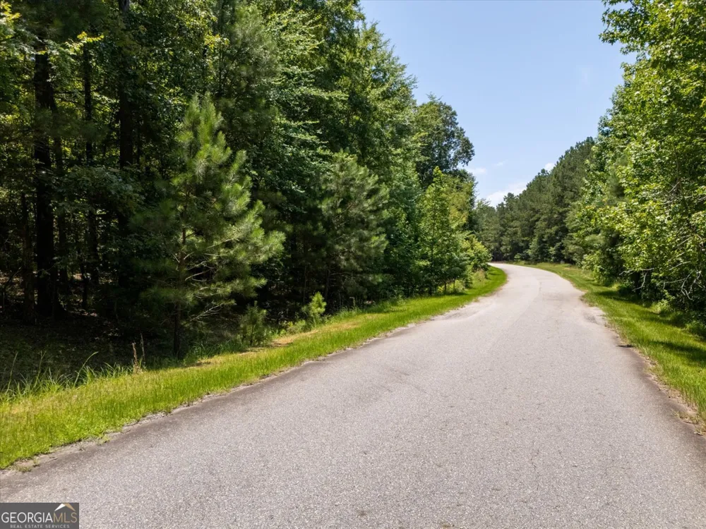1053 Pine Point LN Tignall, GA 30668