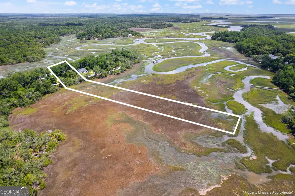 LOT 42 St Joseph's Point Darien, GA 31305