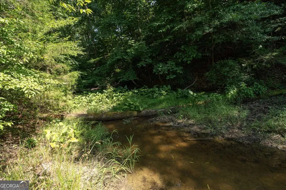 2416 Cleveland DR Elberton, GA 30635