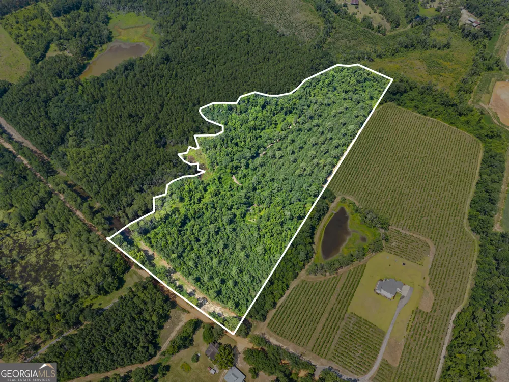 0 Jo Dan RD Register, GA 30452