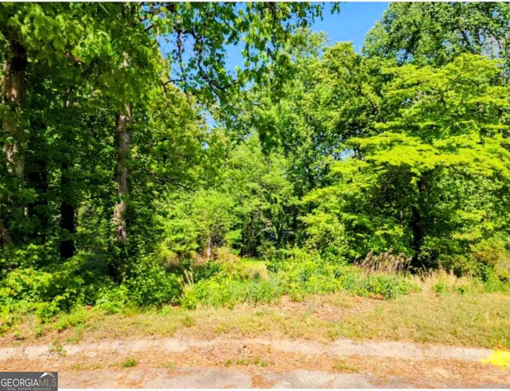 2612 Clay CT Jonesboro, GA 30236