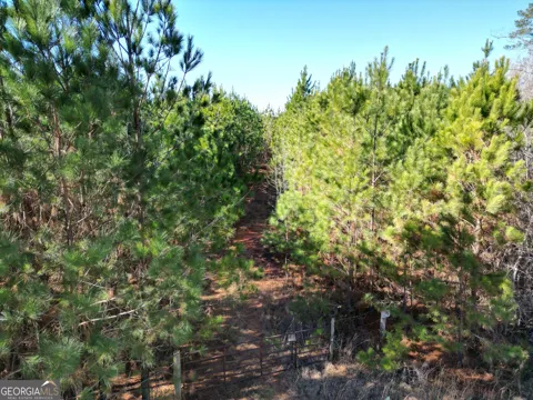 0 Jaudon RD