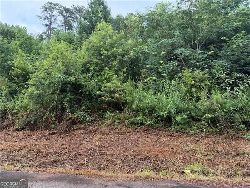 539 Oakhurst DR Marietta, GA 30066