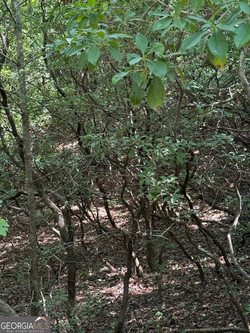 0 Crumley Creek RD Sautee Nacoochee, GA 30571