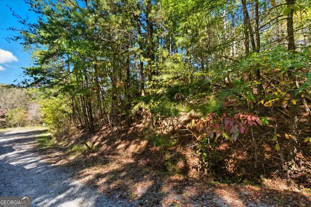 1666 Hunter DR Ranger, GA 30734