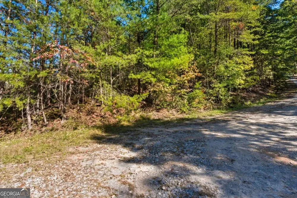 1666 Hunter DR Ranger, GA 30734