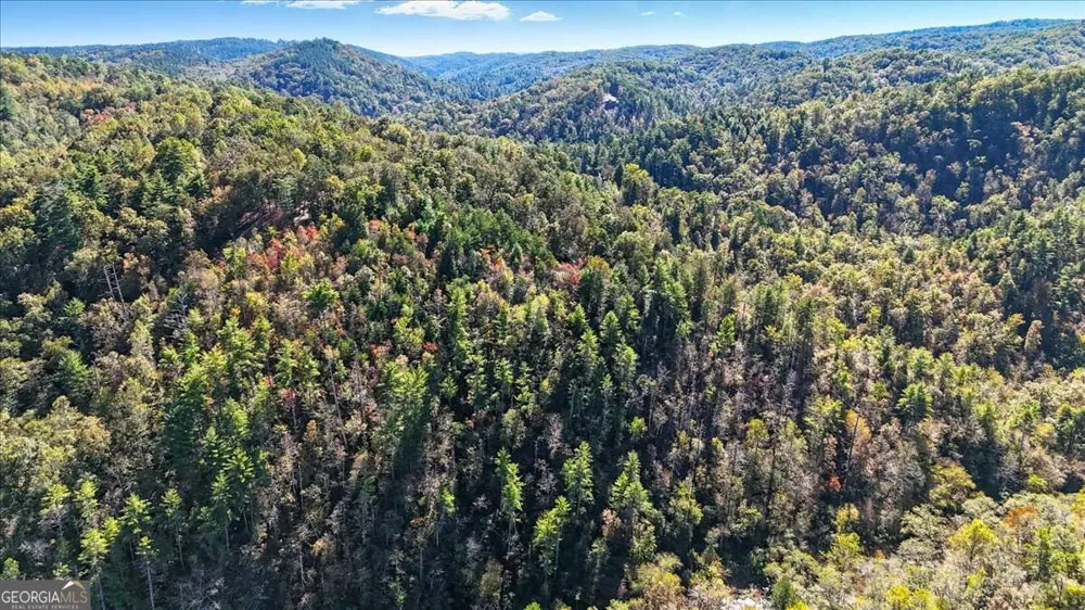 1666 Hunter DR Ranger, GA 30734