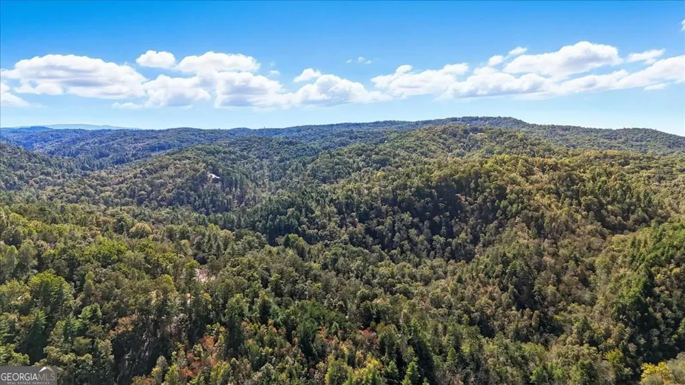 1666 Hunter DR Ranger, GA 30734