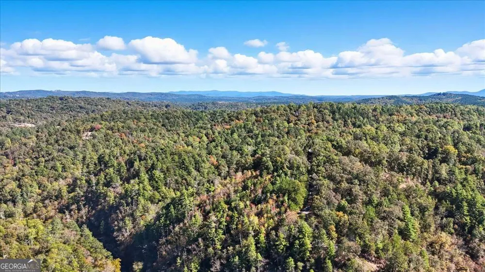 1666 Hunter DR Ranger, GA 30734