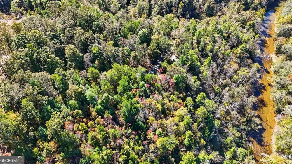 1666 Hunter DR Ranger, GA 30734