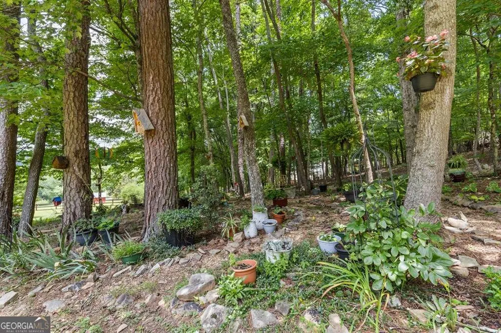 11690 Old Hwy 76 Morganton, GA 30560