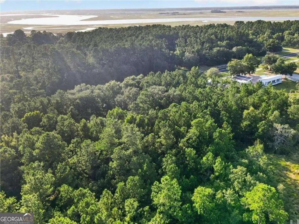 LOT #23 Barnstorm RD NE Townsend, GA 31331