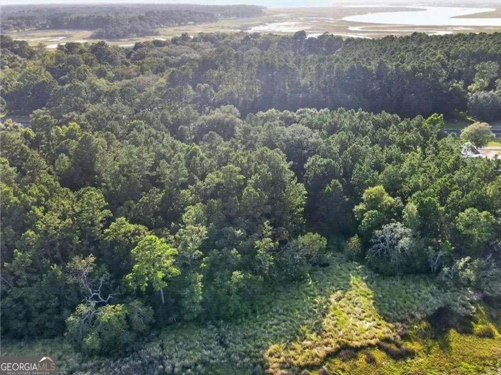LOT #23 Barnstorm RD NE Townsend, GA 31331
