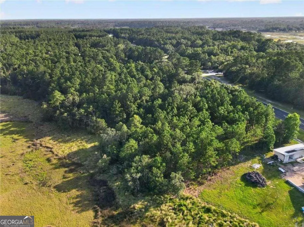 LOT #23 Barnstorm RD NE Townsend, GA 31331