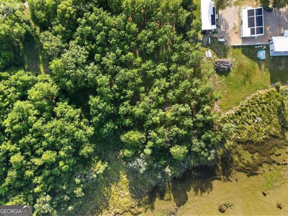 LOT #23 Barnstorm RD NE Townsend, GA 31331