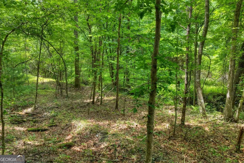 0 Scots Glen RD Mineral Bluff, GA 30559