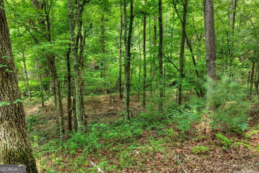 0 Scots Glen RD Mineral Bluff, GA 30559