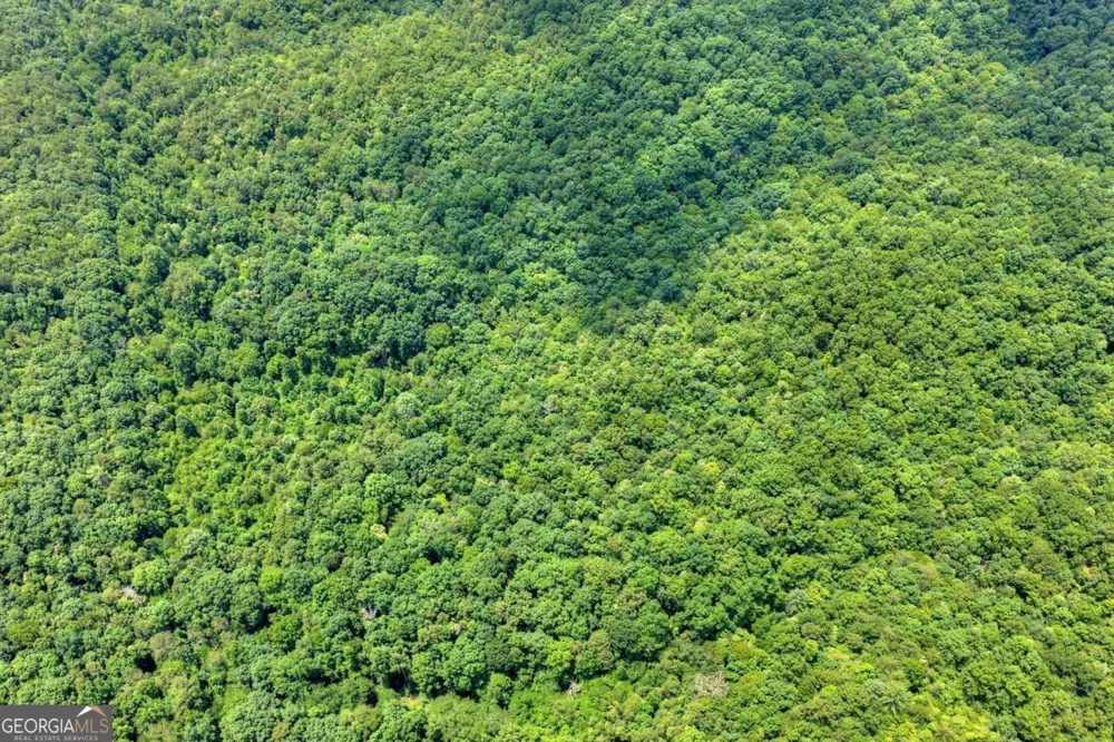 0 Scots Glen RD Mineral Bluff, GA 30559