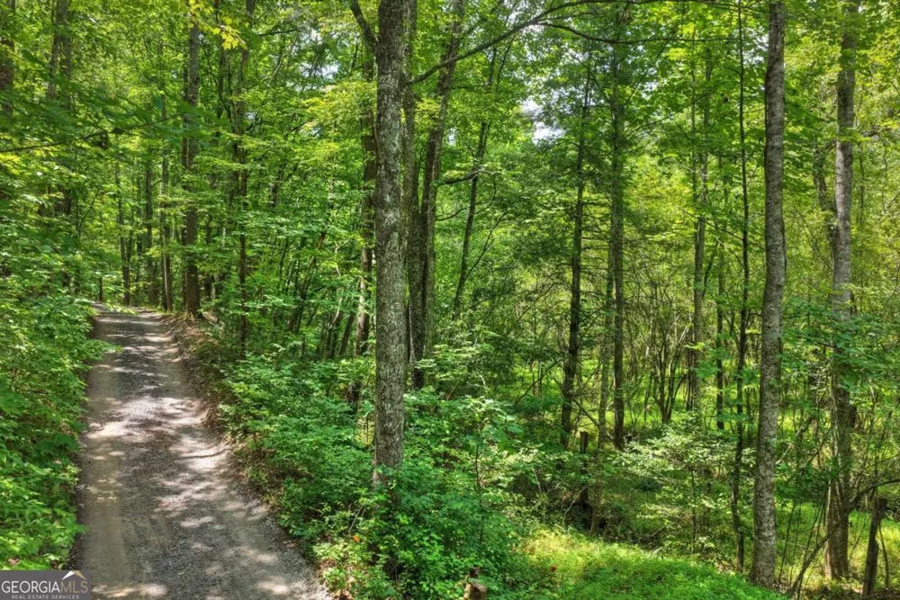 0 Scots Glen RD Mineral Bluff, GA 30559