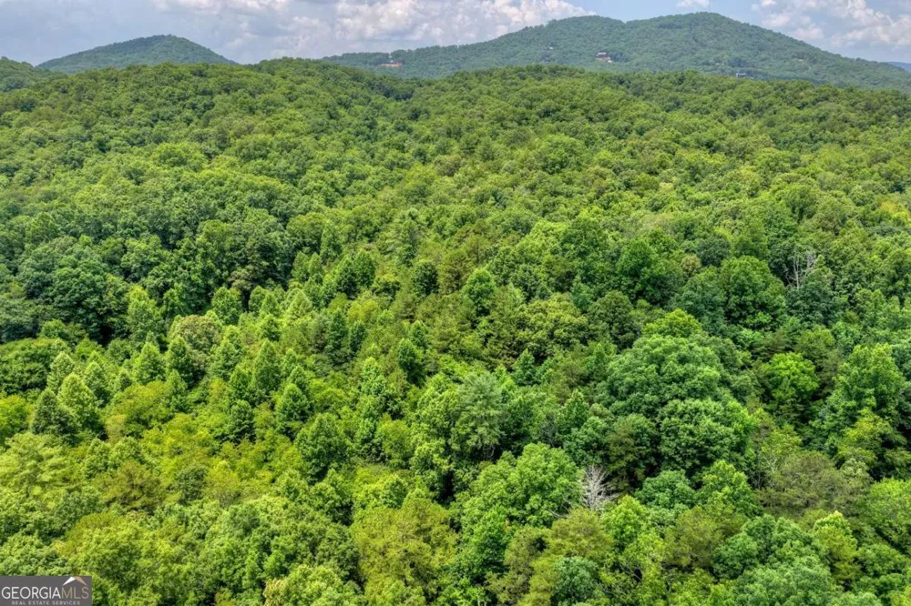 0 Scots Glen RD Mineral Bluff, GA 30559