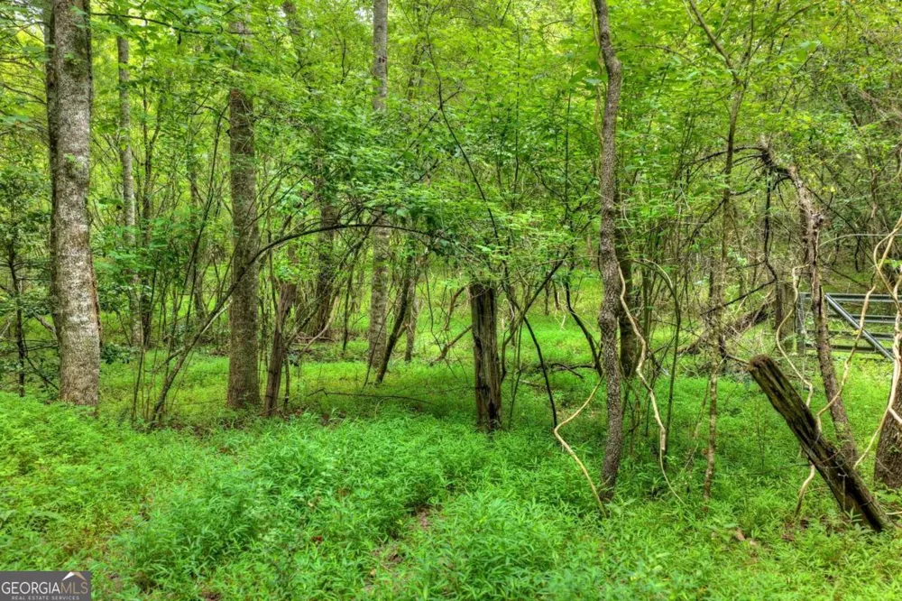 0 Scots Glen RD Mineral Bluff, GA 30559