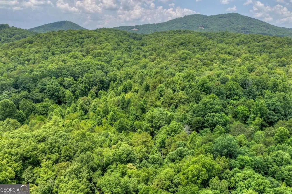 0 Scots Glen RD Mineral Bluff, GA 30559