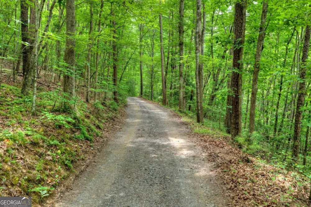 0 Scots Glen RD Mineral Bluff, GA 30559