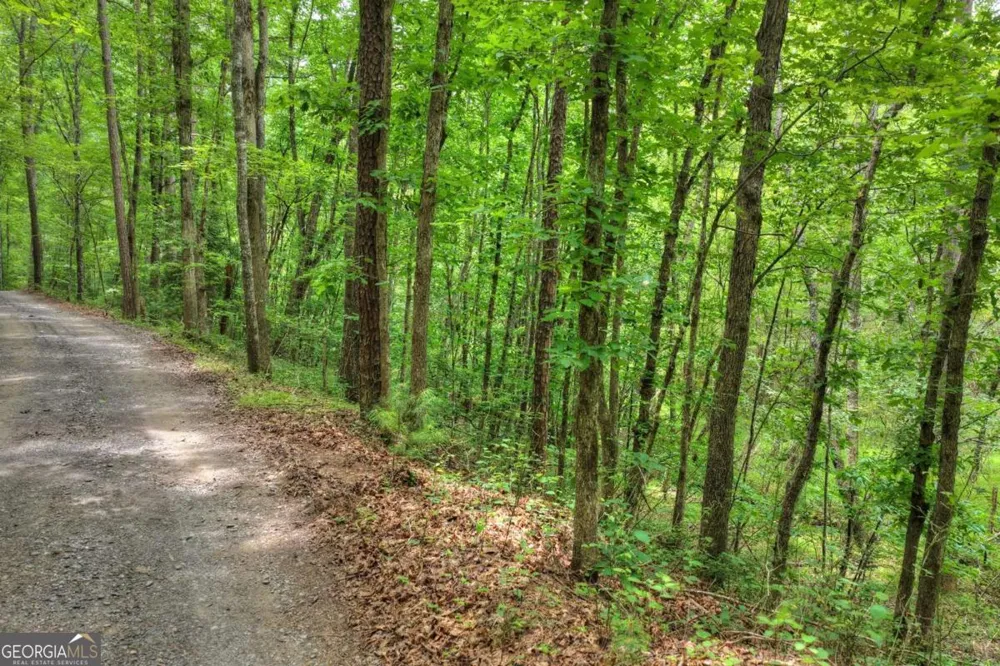 0 Scots Glen RD Mineral Bluff, GA 30559