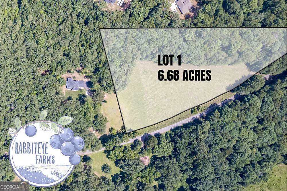 LOT 1 Haynes RD Moreland, GA 30259