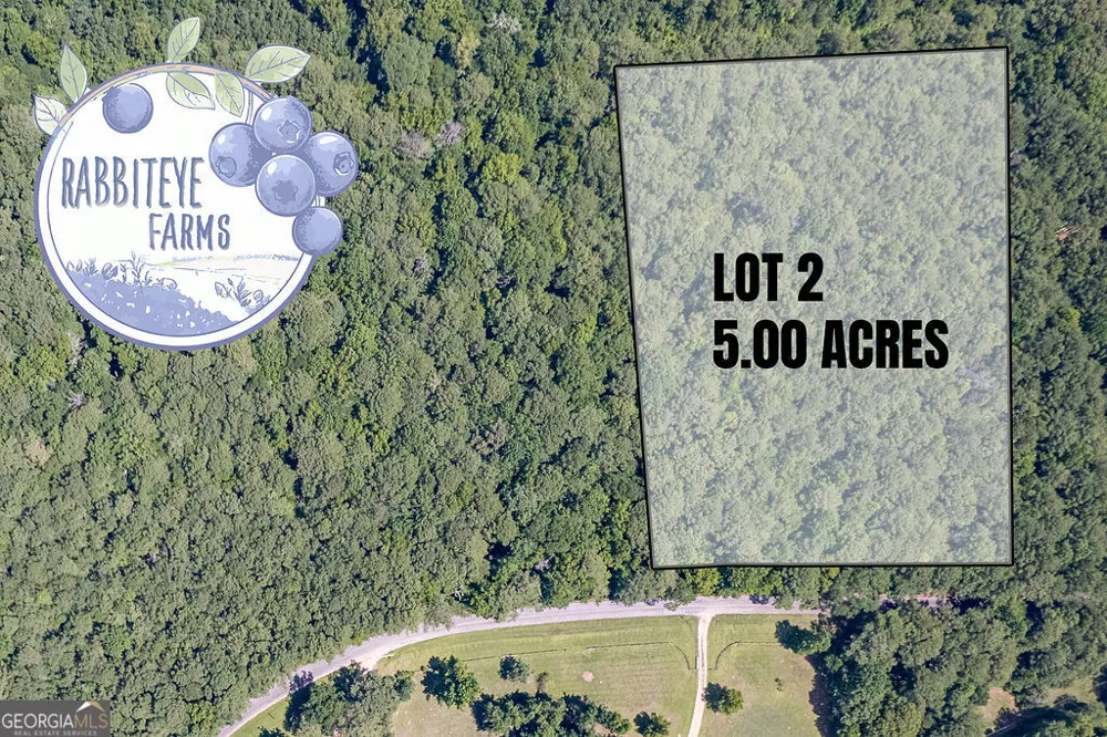 LOT 2 Haynes RD Moreland, GA 30259