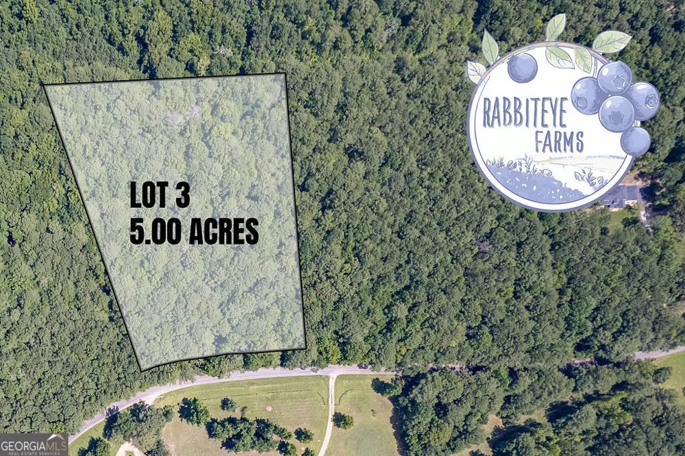 LOT 3 Haynes RD Moreland, GA 30259