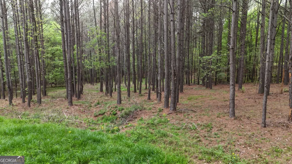 0 Plantation RD Madison, GA 30650
